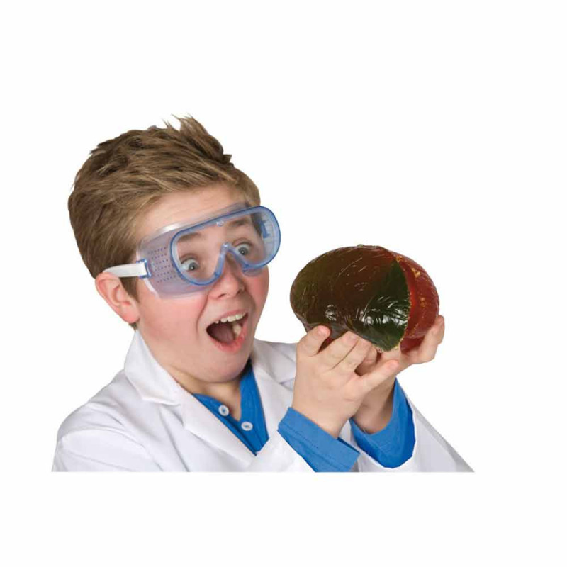 GROZOLOGIJA SET