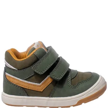 POLLINO CIPELE GREEN 