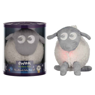 EWAN THE DREAM SHEEP- SIVA