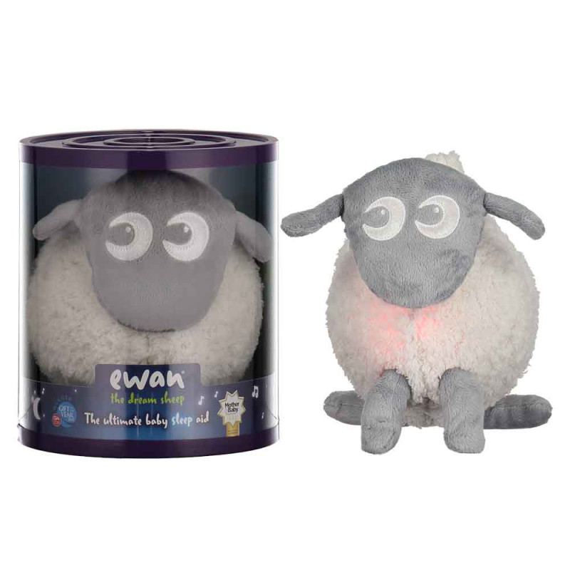 EWAN THE DREAM SHEEP- SIVA