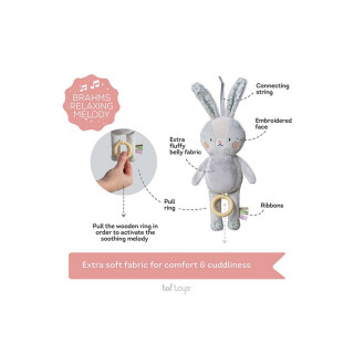 TAF TOYS RYLEE MUZICKI ZEC 