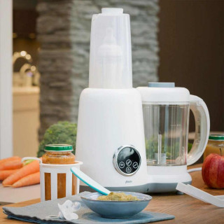 ALECTO BLENDER BFP-66