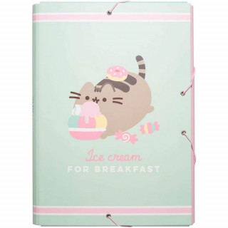 PUSHEEN FOODIE FASCIKLA SA GUMOM A4