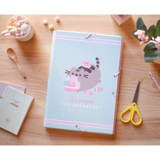 PUSHEEN FOODIE FASCIKLA SA GUMOM A4