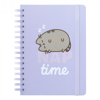 PUSHEEN NOTES SA SPIRALOM MOMENTS 