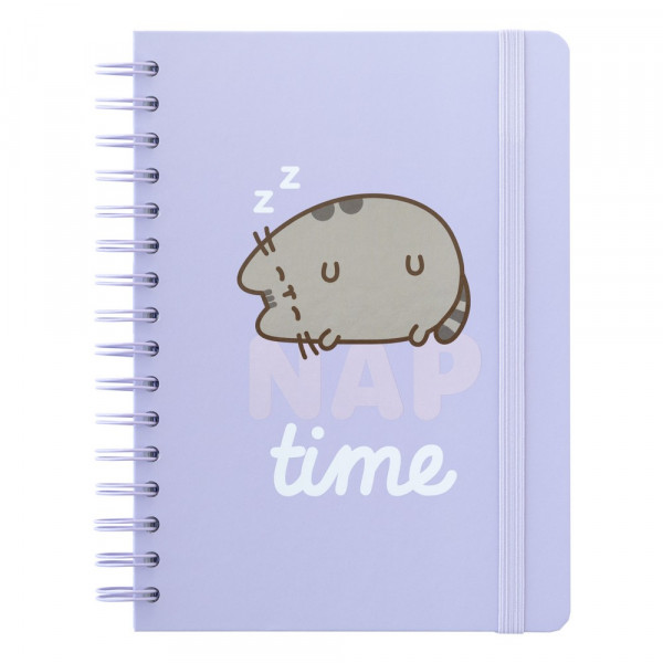 PUSHEEN NOTES SA SPIRALOM MOMENTS 