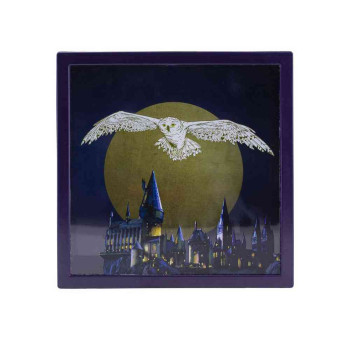 KASICA PALADONE HARRY POTTER - HEDWIG FRAME - MONEY BOX 