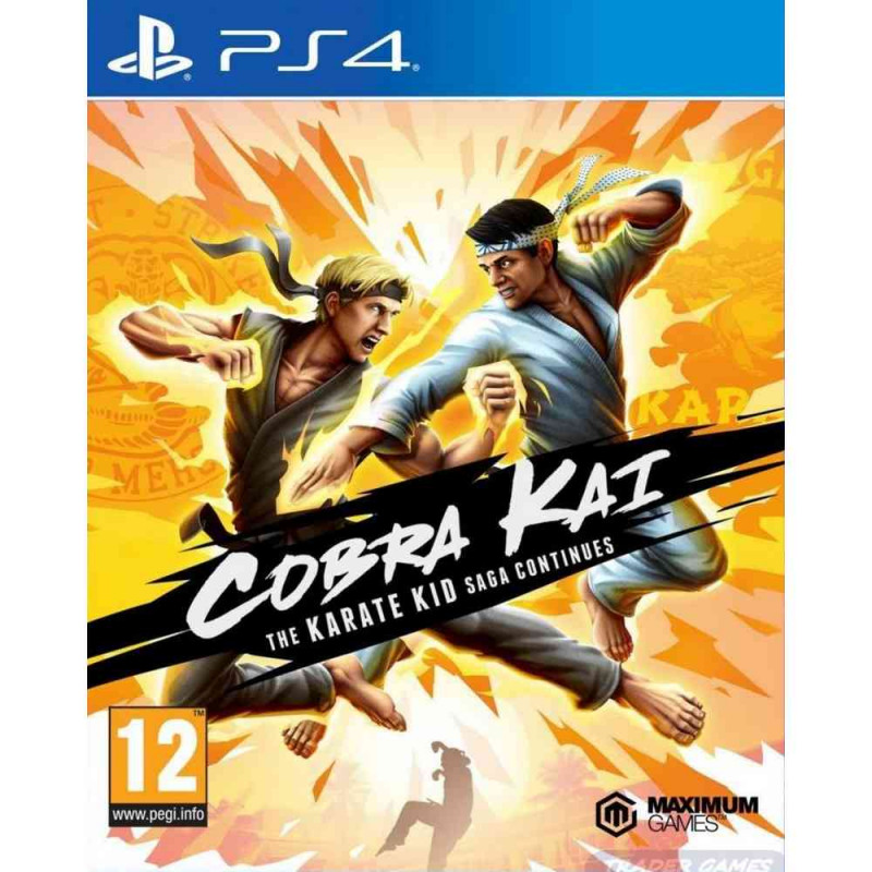 PS4 COBRA KAI THE KARATE KID SAGA CONTINUES