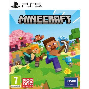 PS5 MINECRAFT 