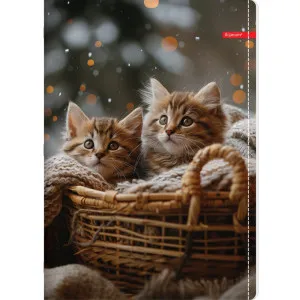 ILIJANUM SVESKA A5 KARO 52L PETS