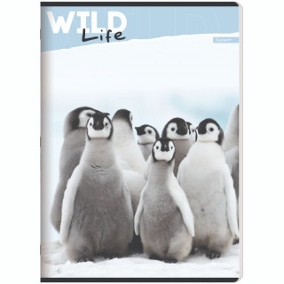 ILIJANUM SVESKA A5 KARO 52L WILD ANIMALS