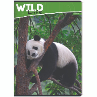 ILIJANUM SVESKA A5 KARO 52L WILD ANIMALS