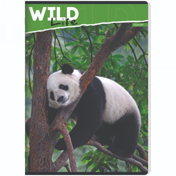 ILIJANUM SVESKA A5 KARO 52L WILD ANIMALS