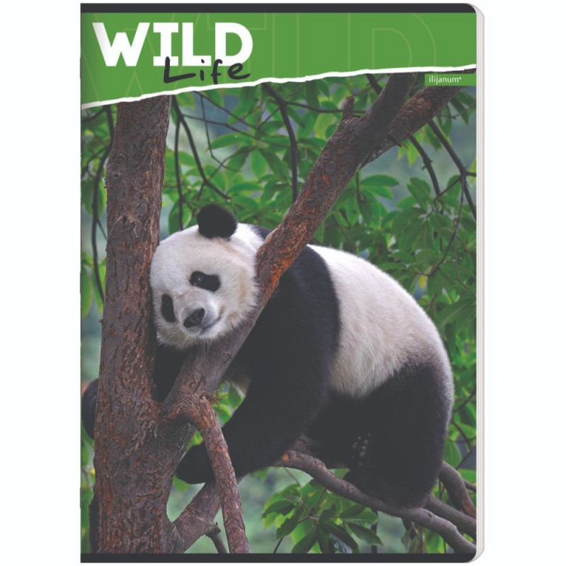 ILIJANUM SVESKA A5 KARO 52L WILD ANIMALS
