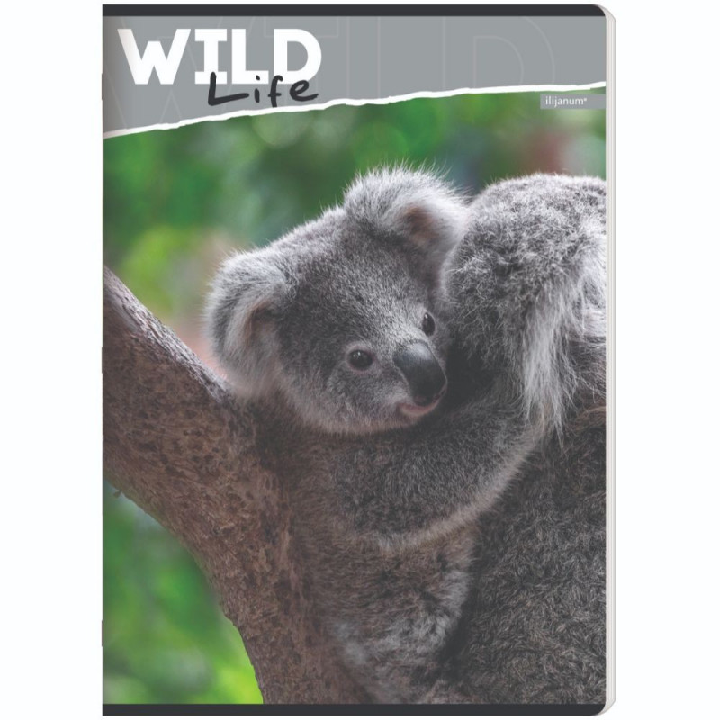 ILIJANUM SVESKA A5 KARO 52L WILD ANIMALS