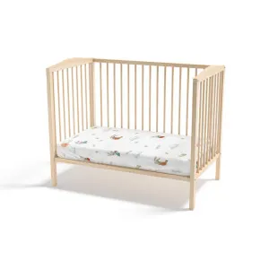 KIDZZ CARSAV SA LASTISOM ZEKA MINT