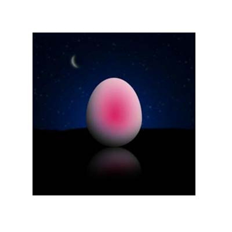 REER nocno svetlo u obliku jajeta