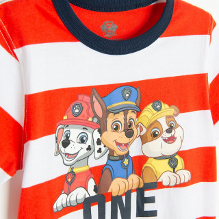 COOL CLUB SET 4-VOYAGE PAW PATROL