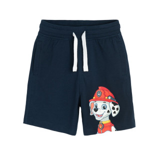 COOL CLUB SET 4-VOYAGE PAW PATROL