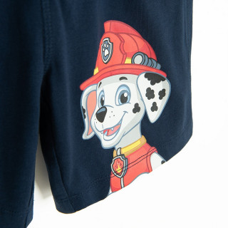 COOL CLUB SET 4-VOYAGE PAW PATROL