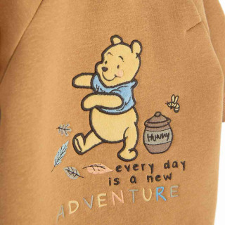 COOL CLUB WINNIE THE POOH ZEKA BROWN