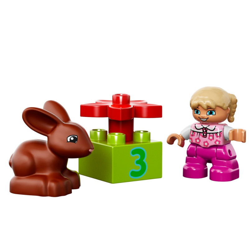 LEGO DUPLO ALL IN ONE PINK V29 