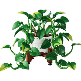 LEGO BOTANICALS HANGING GOLDEN POTHOS 