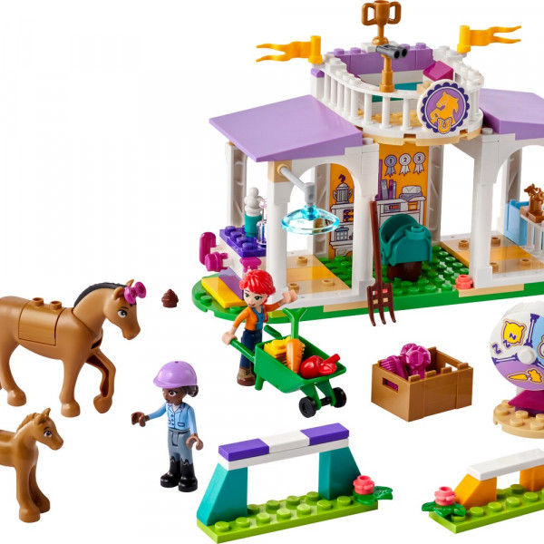 LEGO FRIENDS HORSE TRAINING 