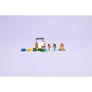 LEGO FRIENDS FRIENDSHIP MOVIE NIGHT 