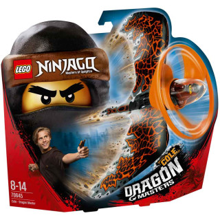 LEGO NINJAGO COLE DRAGON MASTER 