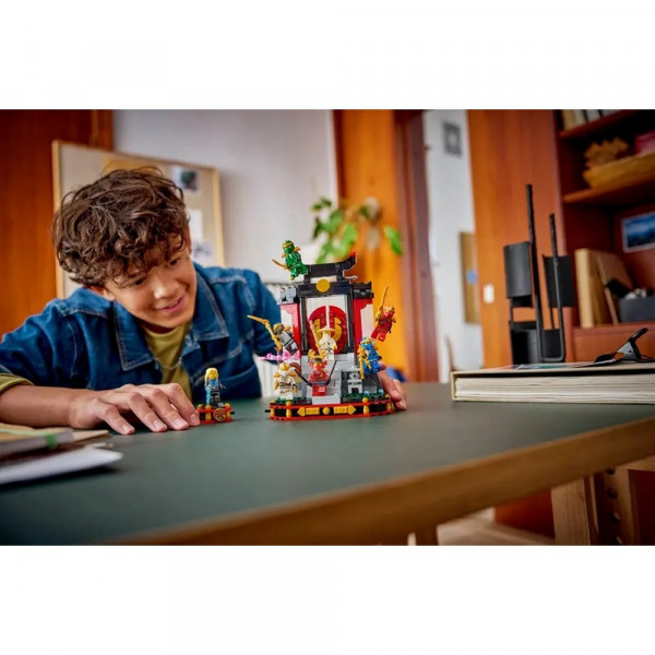 LEGO NINJAGO NINJA CHARACTER DISPLAY 15TH ANNIVERSARY 