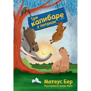 MATEUS BER TRI KAPI BARE U POTRAZI