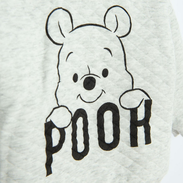 COOL CLUB DUKS WINNIE THE POOH