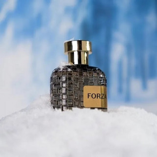 MAD PARFUMEUR FORZA MUŠKI PARFEM 100ML DRVENI NICHE 