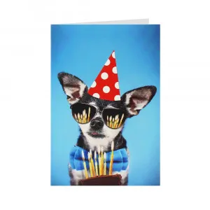 CESTITKA HAPPY BIRTHDAY DOG 