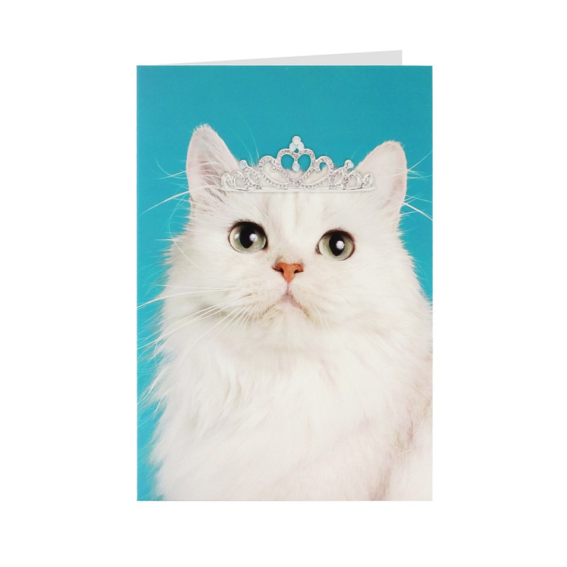 CESTITKA HAPPY BIRTHDAY CAT