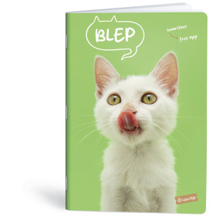 SVESKA PETS A4 DIKTO 40 L 