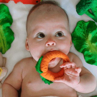 OLI CAROL GLODALICA CATHY SARGAREPA 