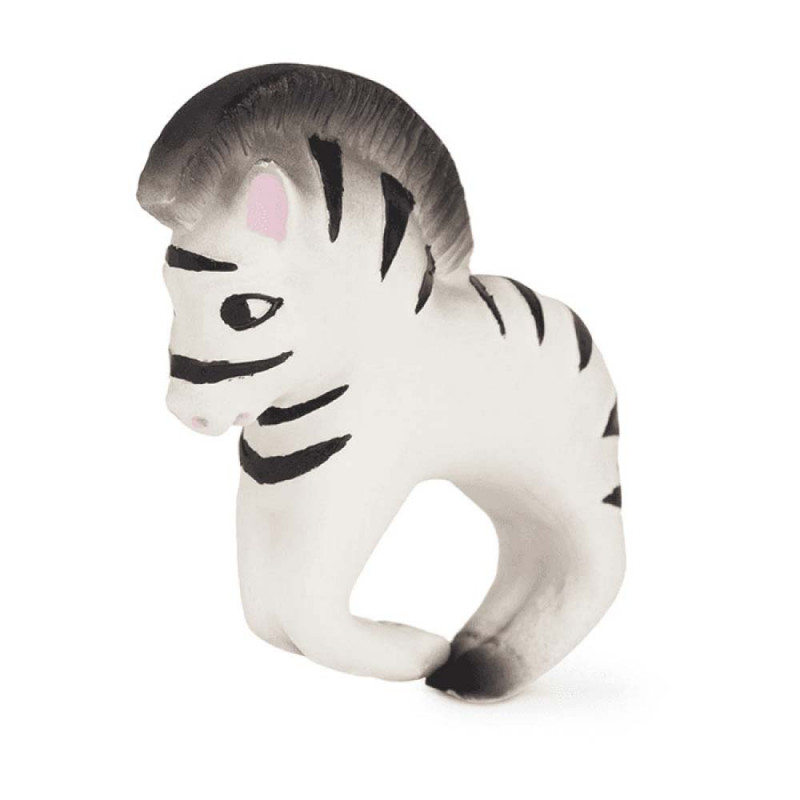 OLI CAROL GLODALICA ZOE ZEBRA