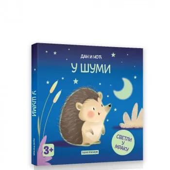 DAN I NOC - U SUMI SASSI 