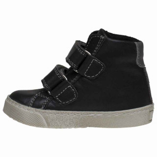 POLLINO CIPELE GRIGIO 2646