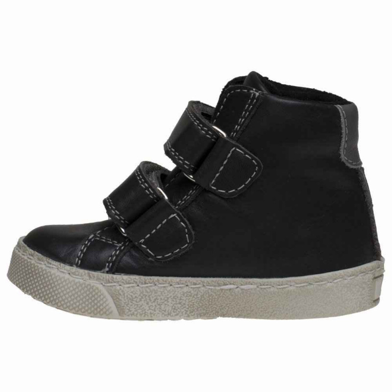 POLLINO CIPELE GRIGIO 2646