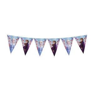 FROZEN 2 PARTY BANER