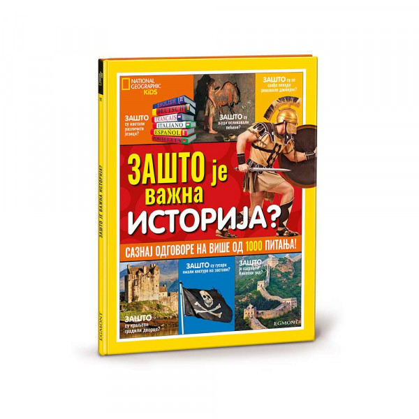 NG ZASTO BR. 11 ZASTO JE VAZNA ISTORIJA? 