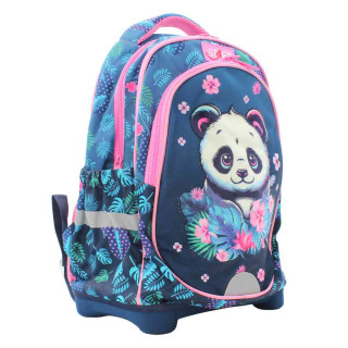START RANAC ANATOMSK PANDA