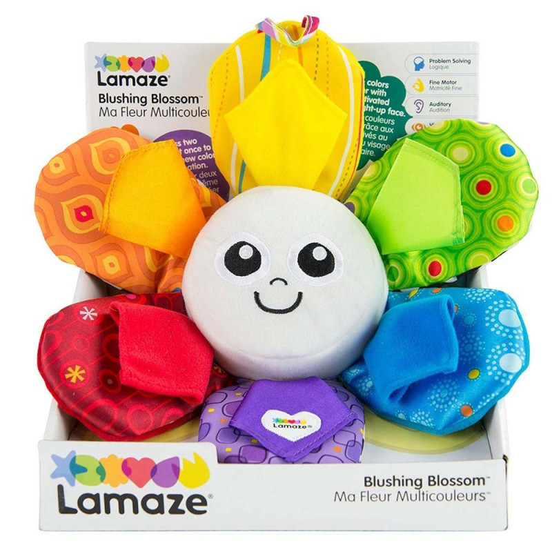 LAMAZE CVETIC CVETKO