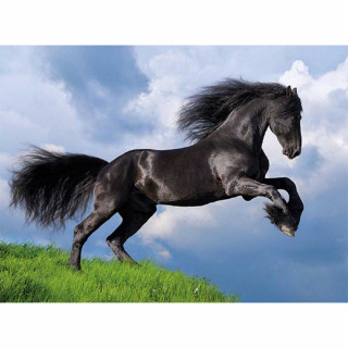 CLEMENTONI FRESIAN BLACK HORSE 