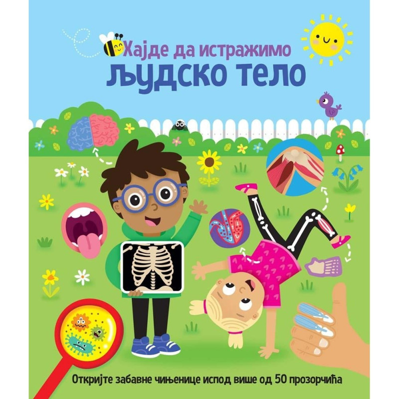 HAJDE DA ISTRAZIMO: LJUDSKO TELO 