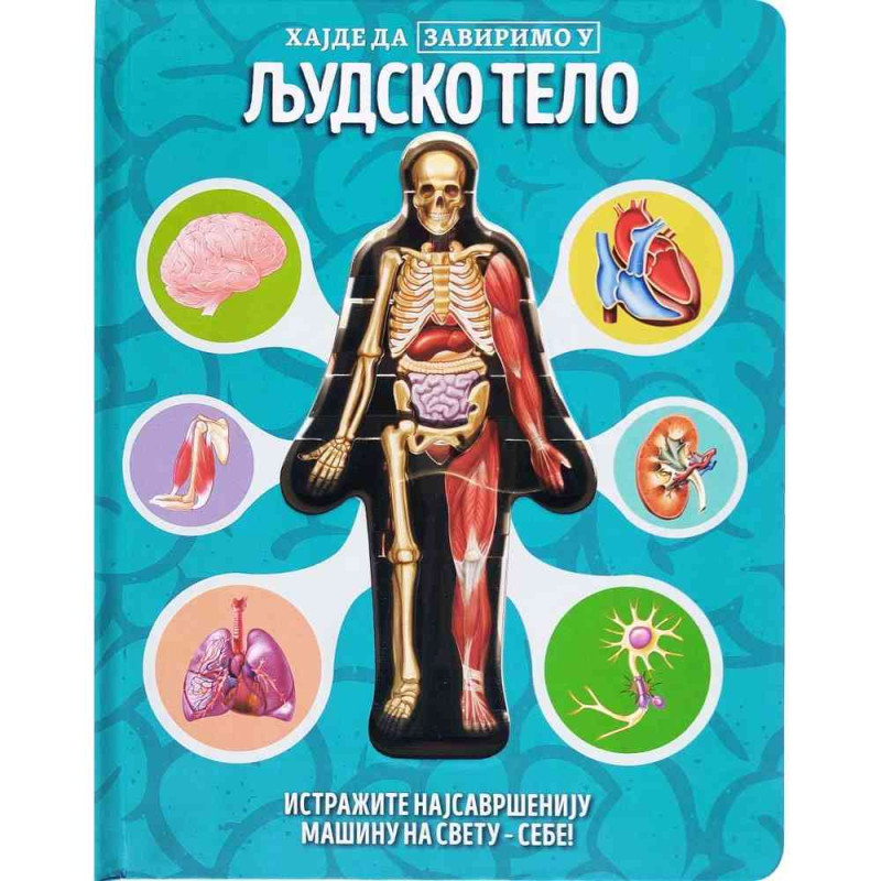 GRUPA AUTORA HAJDE DA ZAVIRIMO U: LJUDSKO TELO 