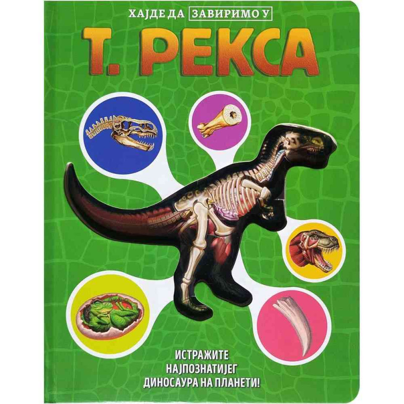 GRUPA AUTORA HAJDE DA ZAVIRIMO U: T. REKSA 